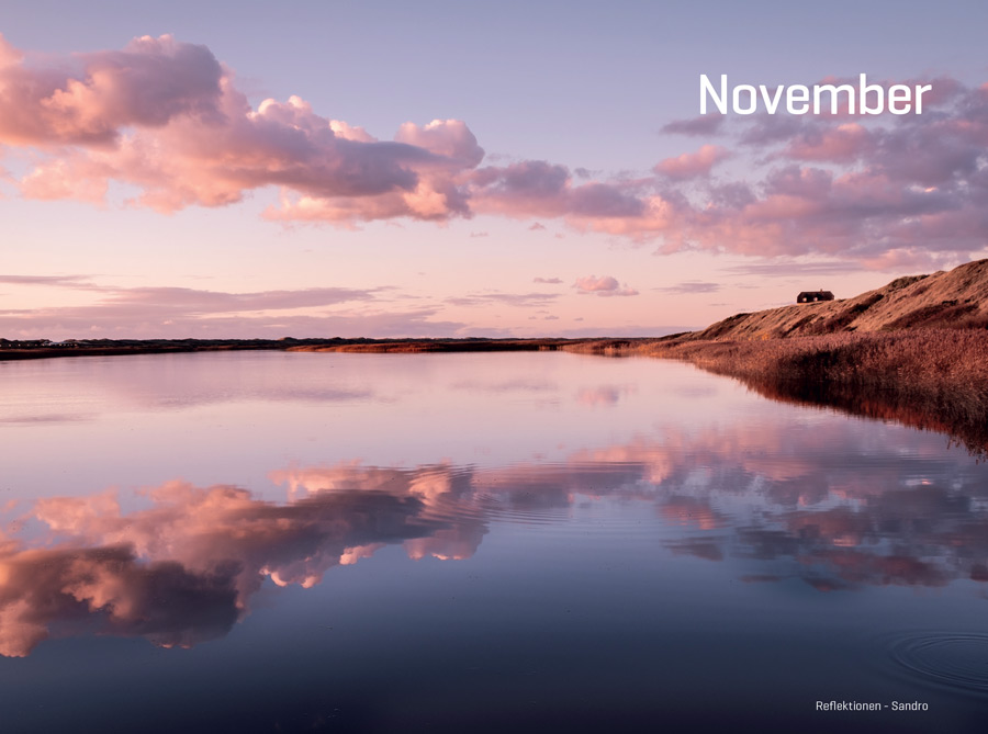 11 nov